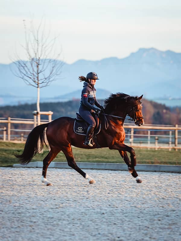 Brunnenhof Sportpferde Reiterin